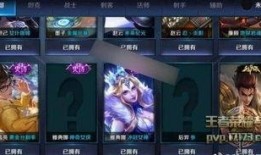 新皮肤优化最新爆料,华丽蜕变，视觉盛宴即将开启