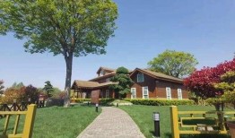 鲁山同城爆料最新消息查询,最新消息速览，揭秘本地热点事件！