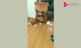 网红oni熊最新爆料,揭秘网红圈最新动态