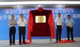 中原区环保厅爆料信息最新,多起环境违法行为被查处！