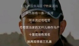 罗刹海市最新爆料信息,揭秘神秘事件背后的惊人真相