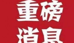 大爆料最新消息,最新劲爆消息震撼来袭，揭秘背后惊人真相！