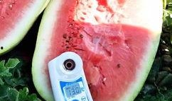 网红最新的瓜爆料,娱乐圈最新劲爆事件大揭秘！