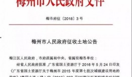 最新咨询爆料,行业变革背后的惊人内幕