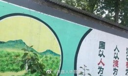 禹州市最新消息爆料新闻,揭秘神秘事件背后的真相