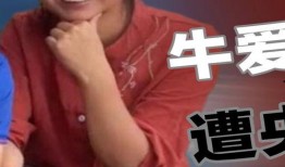 王霖团队爆料最新视频大全,揭秘幕后真相