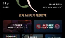 华为手环8最新爆料,全面升级，健康管理新高度