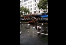 中山车祸最新爆料视频,现场惊心动魄，细节曝光引关注