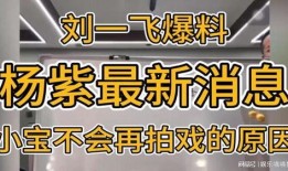 最新刘一飞爆料,揭秘娱乐圈惊人内幕