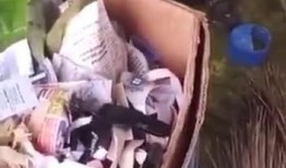 最新老鼠爆料新闻视频播放,揭秘娱乐圈惊人内幕