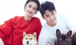 窦骁陈都灵最新爆料照片,最新爆料照片曝光！