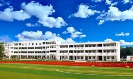 浏阳新弘学校爆料案件最新,真相揭开，校园安全再引关注