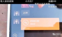 沈猛爆料宝哥视频大全最新,宝哥视频大全最新动态大曝光！