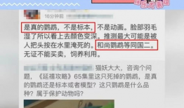 最新爆料珍爱生命,揭秘最新爆料背后的警示与反思