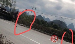 阳朔车祸最新爆料,事故原因揭秘，伤亡情况公布