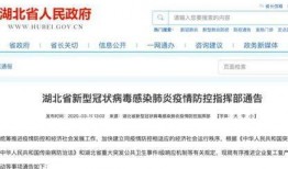 湖北爆料最新新闻消息,聚焦突发事件追踪与影响