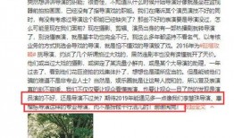 最新小作文爆料新闻,小作文揭露惊人新闻内幕