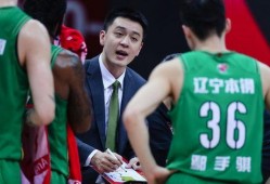 杨鸣最新爆料,篮球界幕后故事大公开