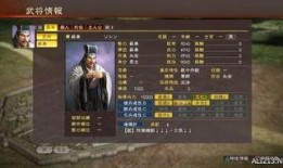 三国志新武将爆料大全最新,揭秘神秘新角色，战力升级再掀烽火风云