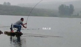 最新钓鱼人爆料,最新钓场奇遇记