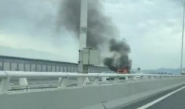 杏林大桥最新爆料视频,揭秘工程进展与神秘设计细节