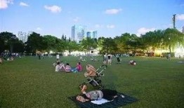 中山公园直播爆料最新,网红打卡地背后的故事与魅力”