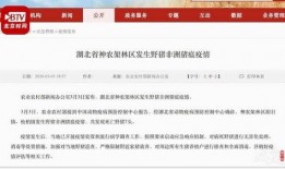 湖北爆料最新新闻消息,聚焦突发事件追踪与影响